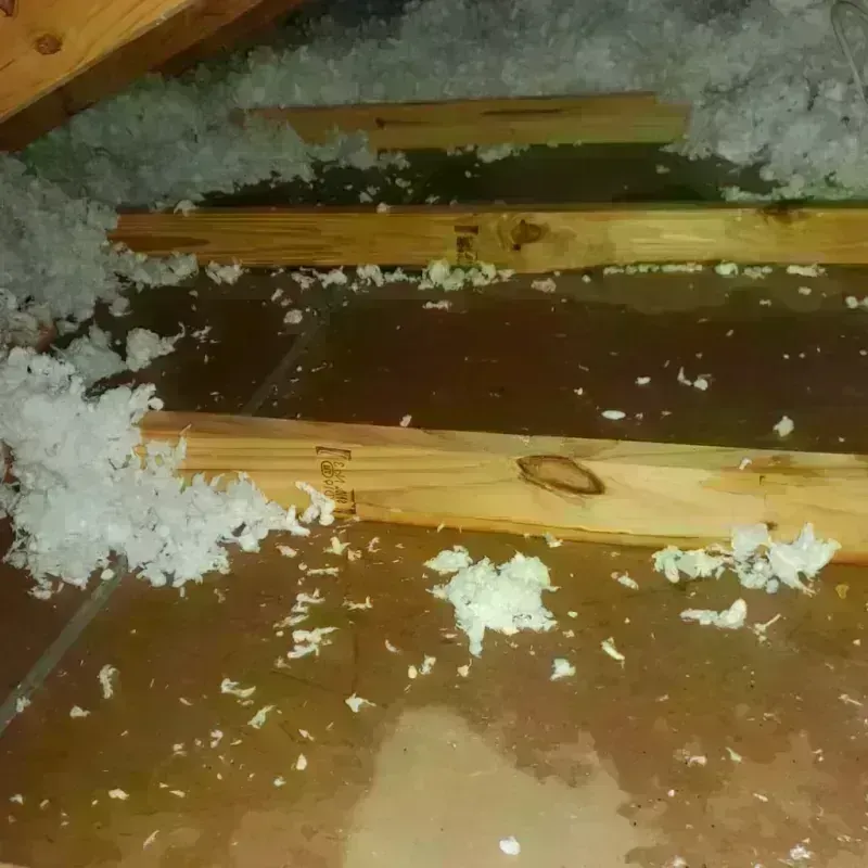 Attic Water Damage in Bossier Parish, LA